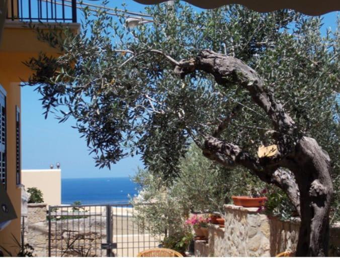 Modus B&B San Vito Lo Capo Zewnętrze zdjęcie