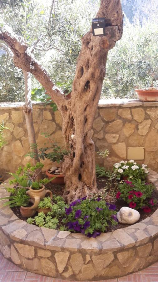 Modus B&B San Vito Lo Capo Zewnętrze zdjęcie