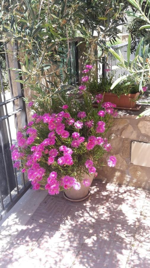 Modus B&B San Vito Lo Capo Zewnętrze zdjęcie